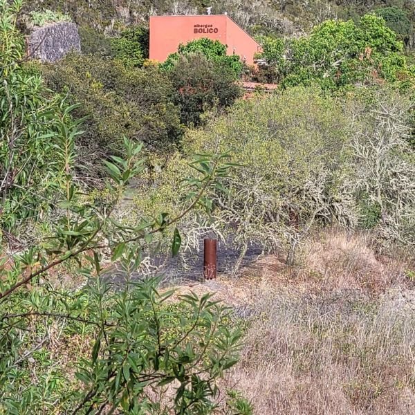 retiro julio la puntura del alma