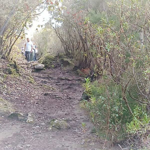 retiro octubre la puntura del alma