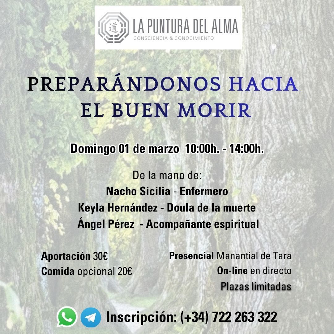 taller-vida-despues-de-la-vida octubre 2025