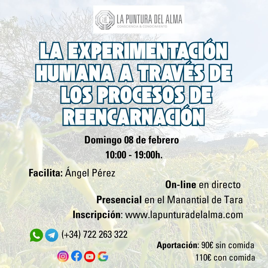 Taller La experimentación humana a través de los procesos de reencarnación