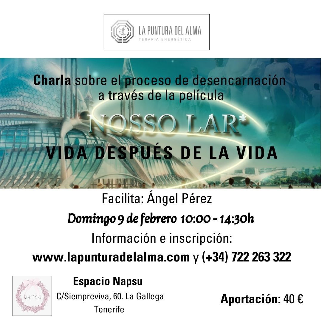 Taller Vida despues de la vida