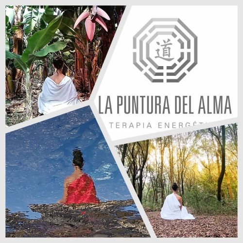 Curso Integral de Meditación