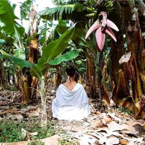 Ciclo de Meditación Etapa Inicial