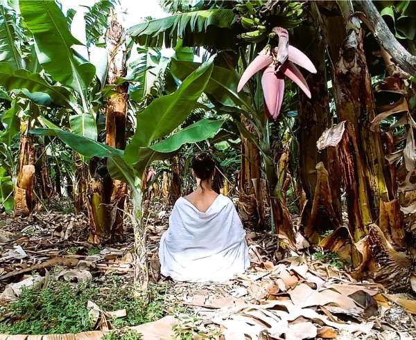 Ciclo de Meditación Etapa Inicial