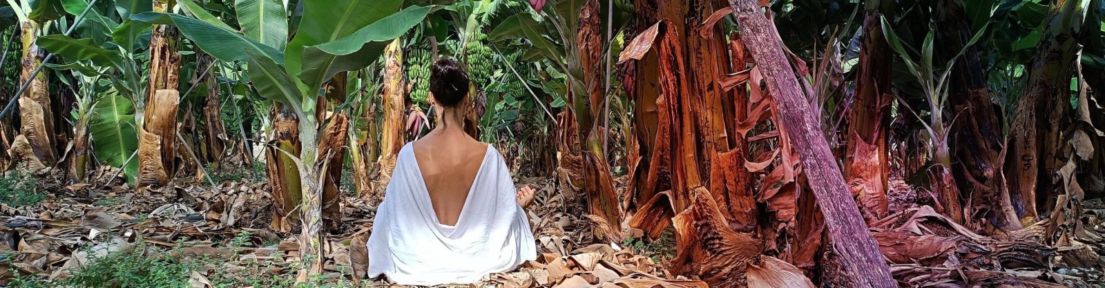 Meditación - La Puntura del Alma